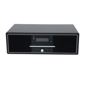 DS-033-BT